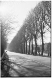 Cologna-V-1972-04